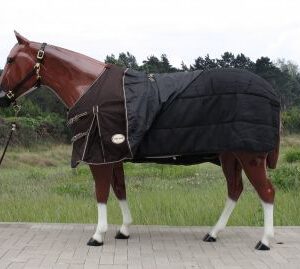Rain winter blanket 300gr. filling 1680D