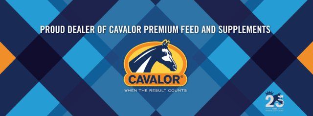 new-logo-banner
