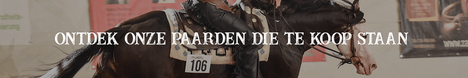 paardenmobiel